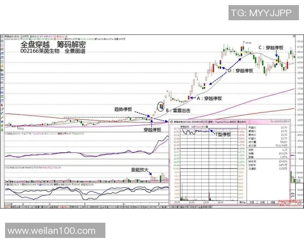 北京篮球队近期状态分析与表现评估全景解读
