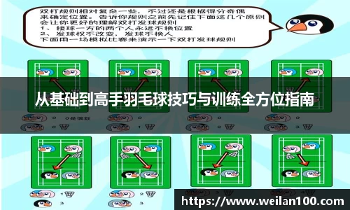 从基础到高手羽毛球技巧与训练全方位指南
